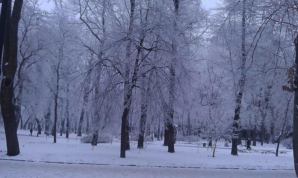 Готель Belokorichi Київ Екстер'єр фото